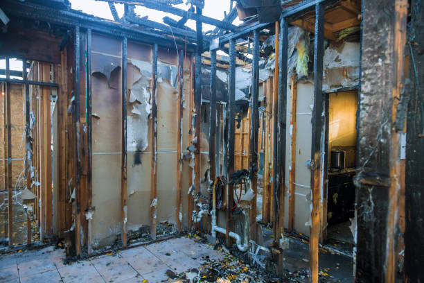 Professional Fire Damage Removal technician working in Easton, MD